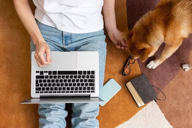 SEO For Pet Business